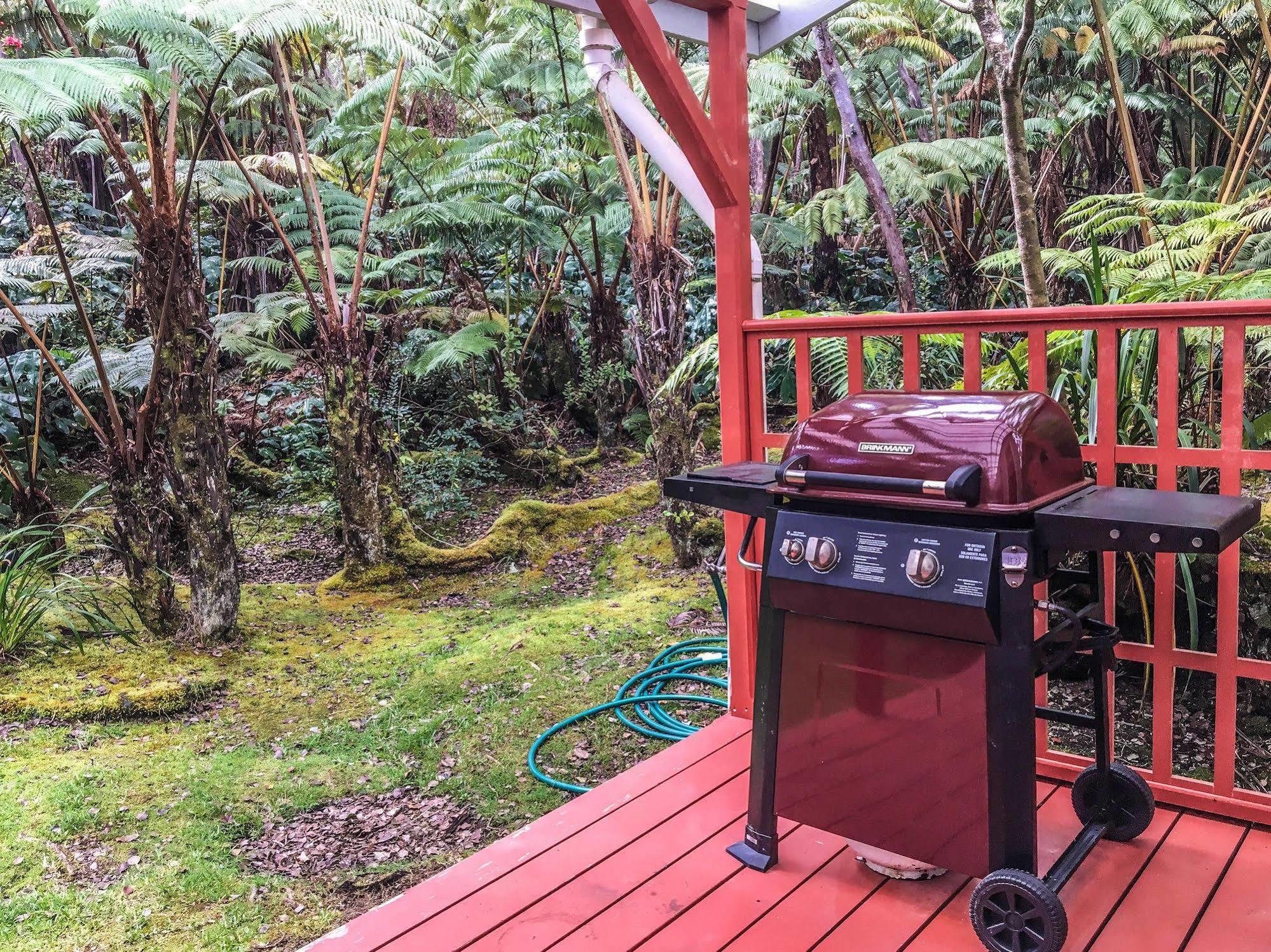 Hale Nahele Villa Volcano Ngoại thất bức ảnh